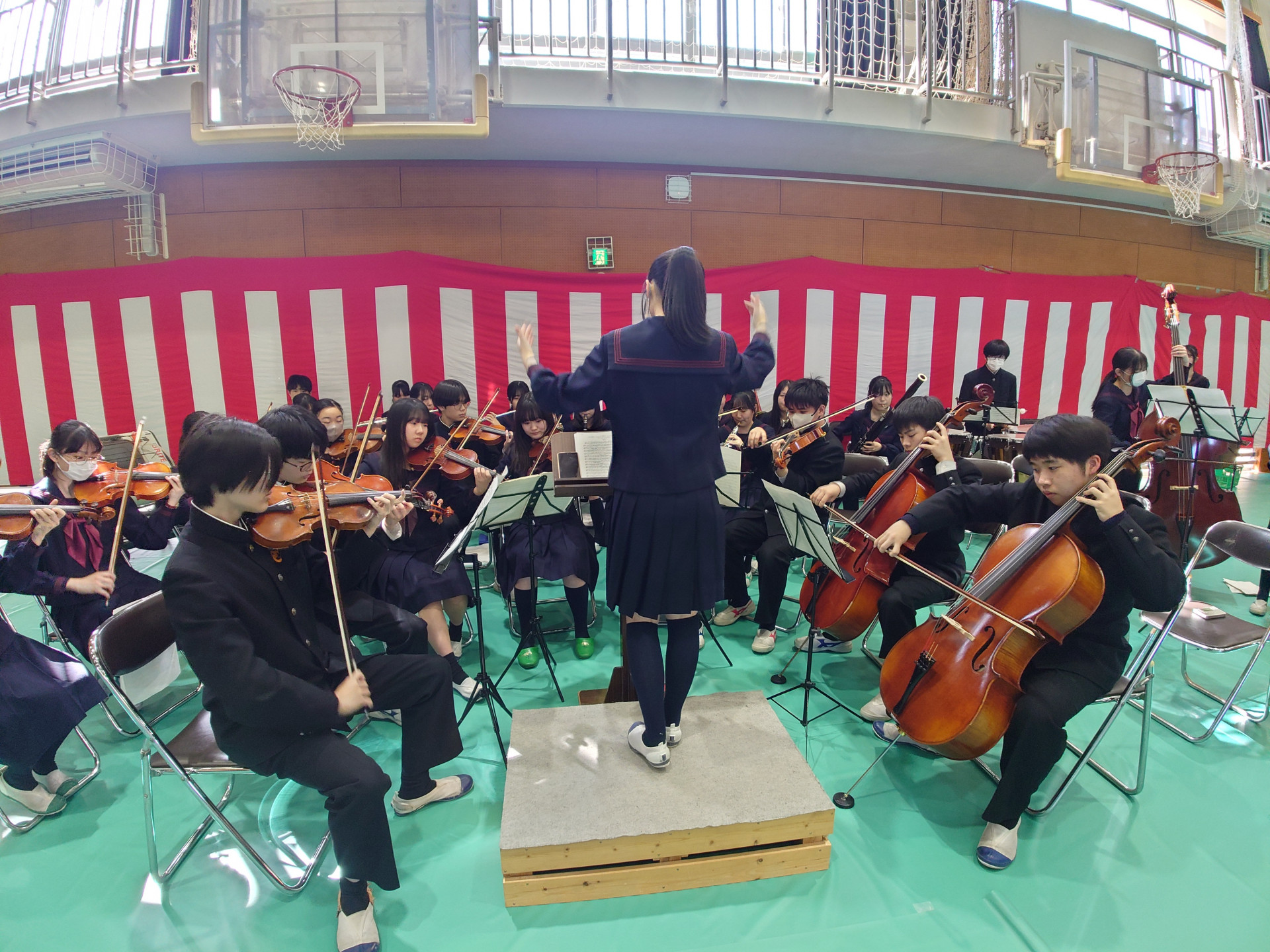 画像 (2)